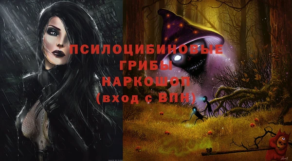 прущий лед Верея