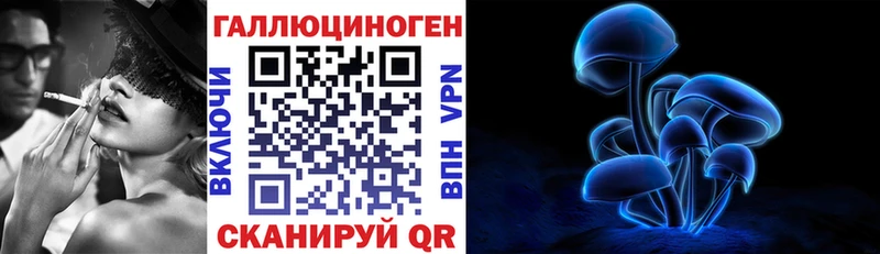 shop официальный сайт  магазин продажи наркотиков  MEGA сайт  Курск  Псилоцибиновые грибы прущие грибы 